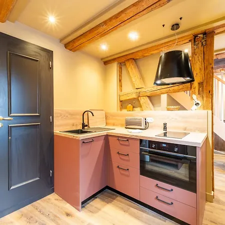 Chateau Pape - Proche De Colmar Apartamento