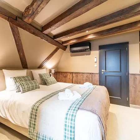 Chateau Pape - Proche De Colmar * Eguisheim