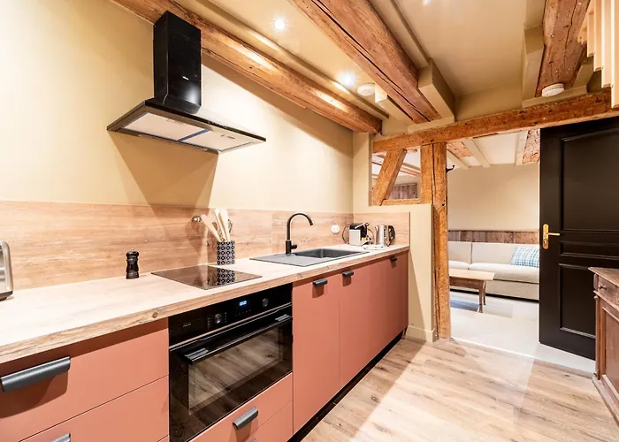 Chateau Pape - Proche De Colmar Eguisheim