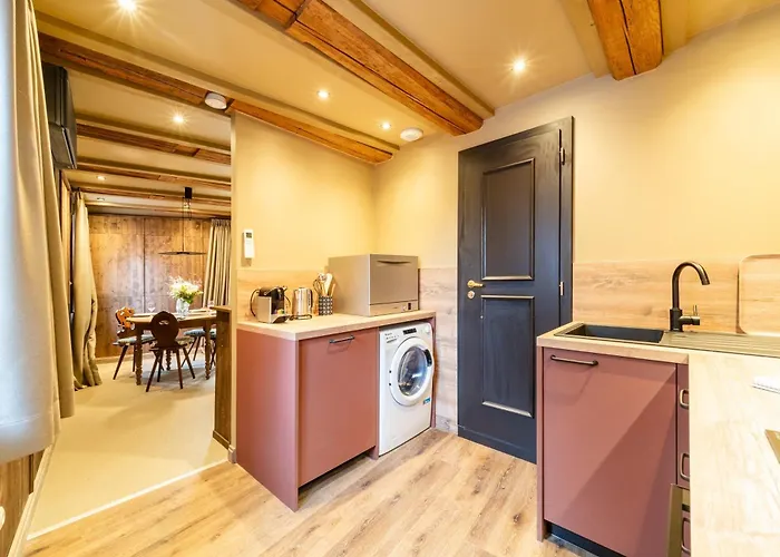 Chateau Pape - Proche De Colmar Apartamento *