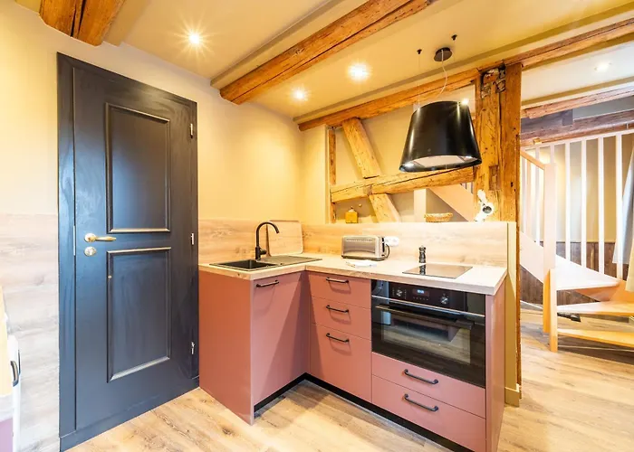 Chateau Pape - Proche De Colmar Apartamento