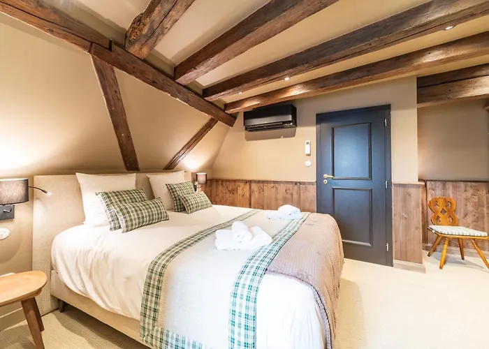 Chateau Pape - Proche De Colmar * Eguisheim